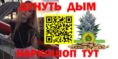spice Кимры
