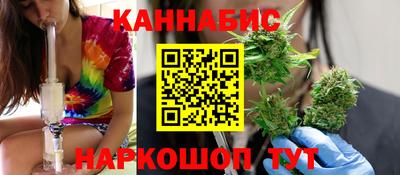 стаф Кингисепп